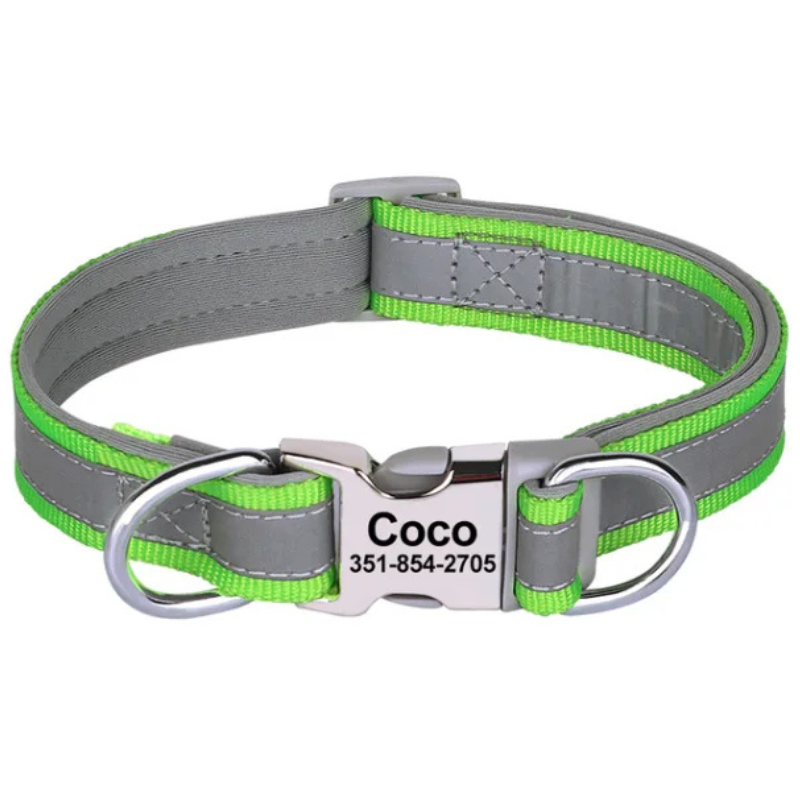 Green SafePup Classic Reflective Dog Collars