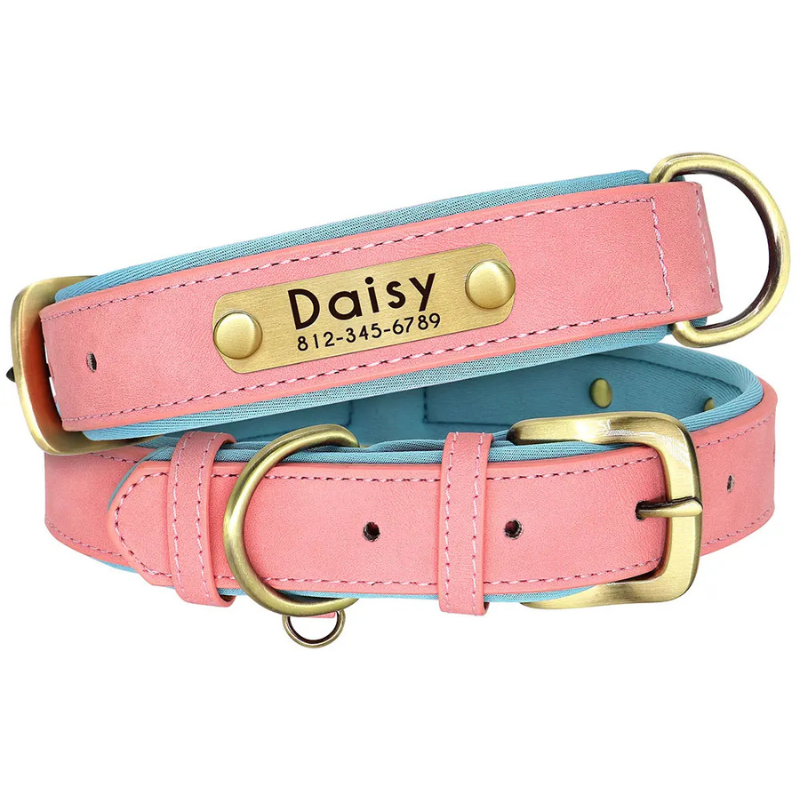 Polished Pup - Custom Engraved Luxe ID Collar