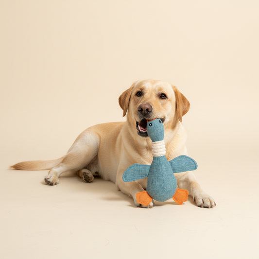 Brinquedo de pelúcia para cachorro ChewSafe Goose