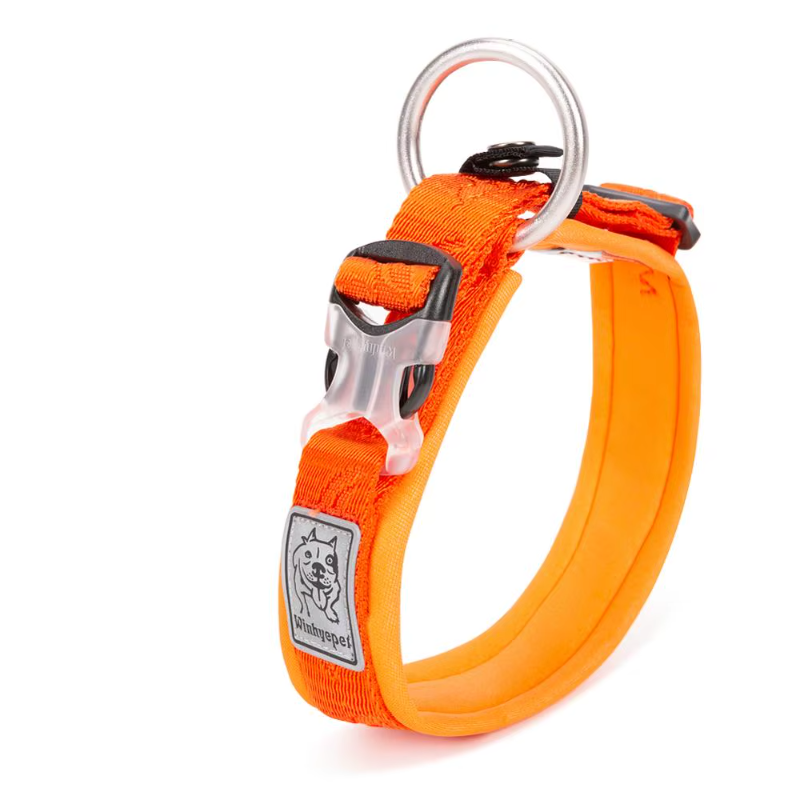 The Fur Pal x TRUELOVE Adjustable Padded Dog Collar - Comfort & Durability