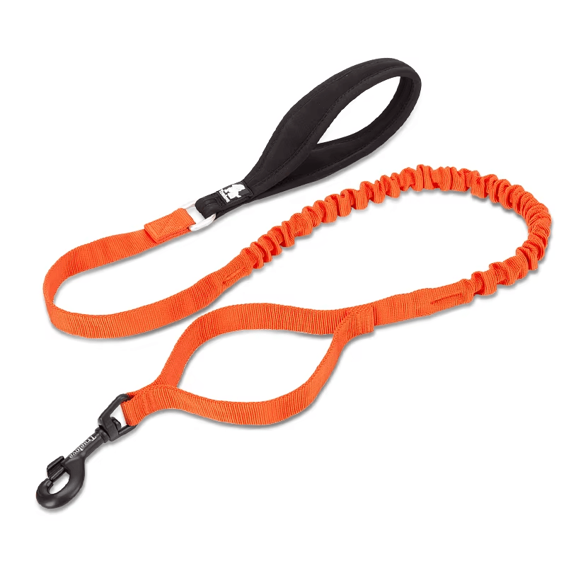 The Fur Pal x TrueLove: Flexible Elastic Dog Leash - The Fur Pal Dog quality premiumdogsupplies