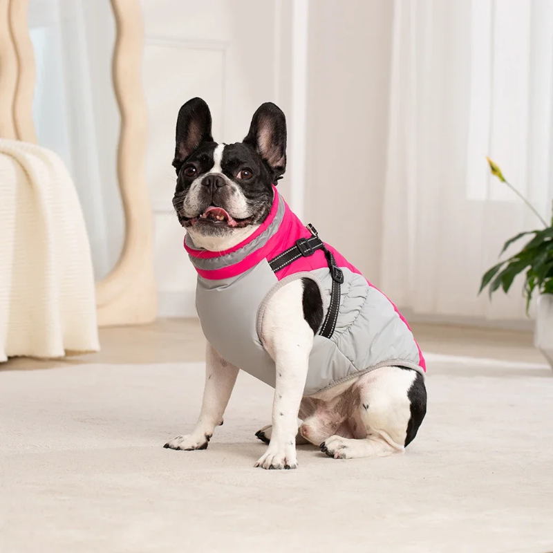 Waterproof Winter Dog Jacket with Harness
