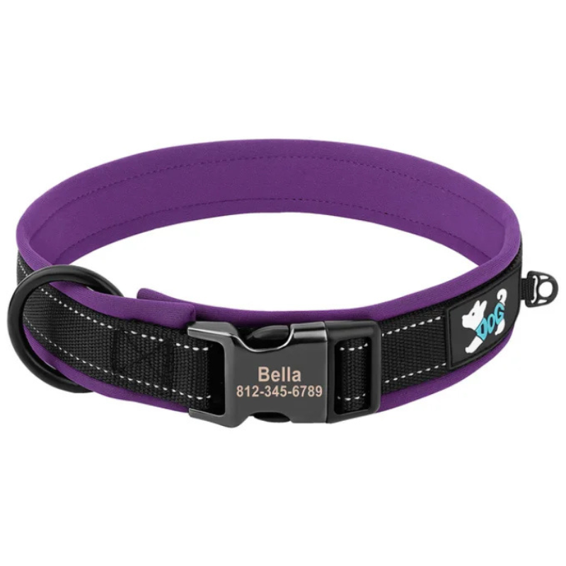 Built in Purple Durable Custom Engraved Dog Collar