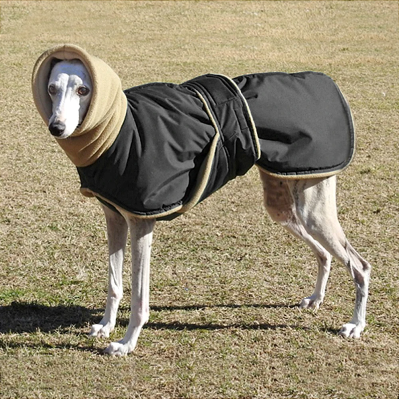 Waterproof Winter Dog Coat for Medium and Large Breeds