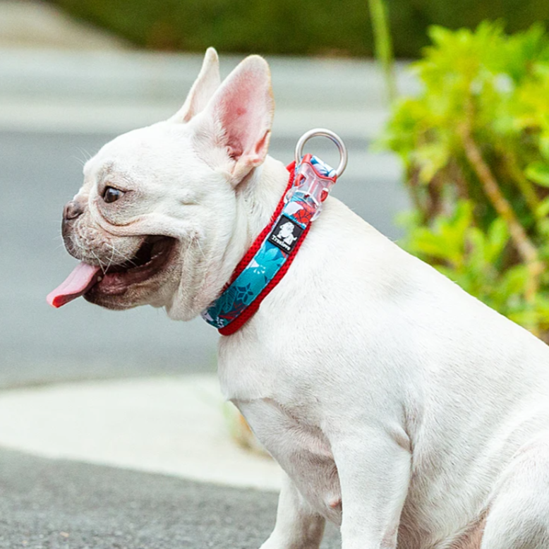 Truelove Comfort Collar β Camouflage Chic Edition