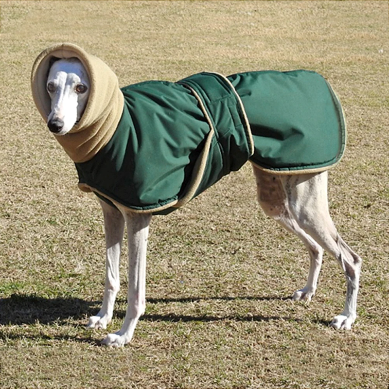 Waterproof Winter Dog Coat for Medium and Large Breeds