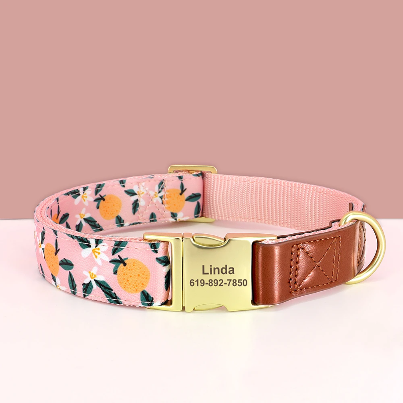 Dog collar with floral pattern, pink strap, and gold nameplate on a light pink background