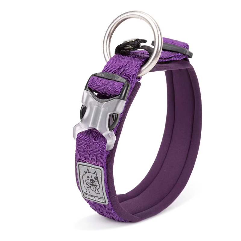 The Fur Pal x TRUELOVE Adjustable Padded Dog Collar - Comfort & Durability