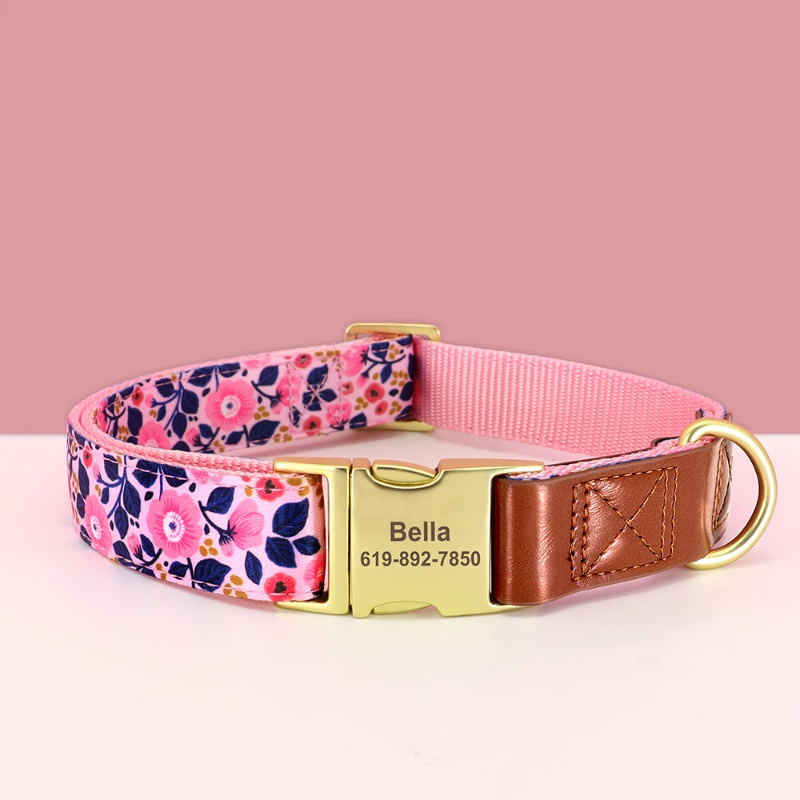 Dog collar with floral pattern, pink strap, and gold buckle on a pink background