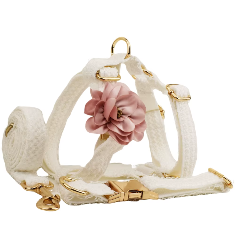 Coleira elegante de renda branca personalizada para cães com placa de identificação gravada personalizada