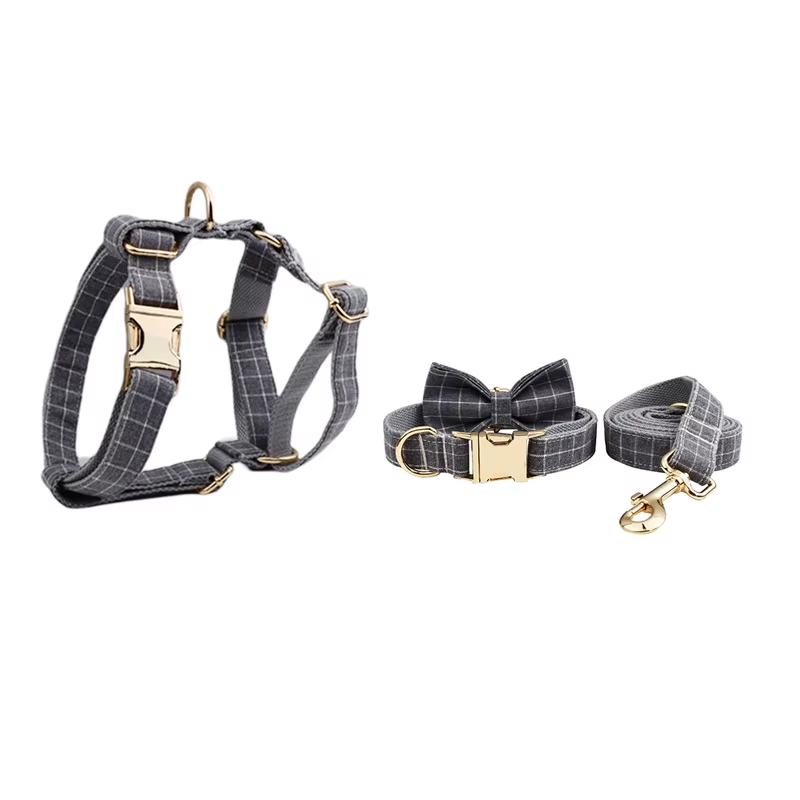 Conjunto de coleira, guia, peitoral, suporte para saco de cocô e laço para cachorro personalizado em cinza - Edição Designer