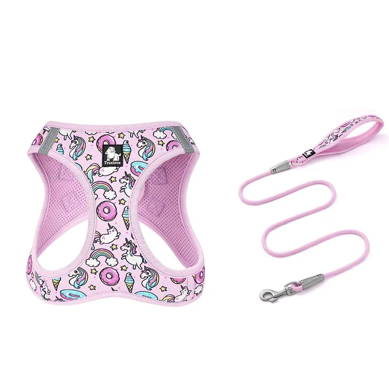 Harness & Leash Set