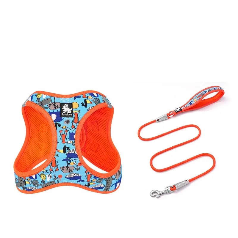 Harness & Leash Set
