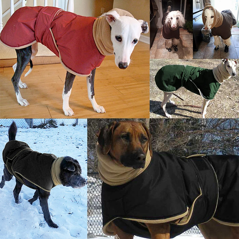 Waterproof Winter Dog Coat for Medium and Large Breeds