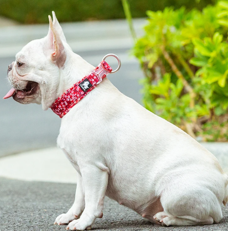 Truelove Comfort Collar β Camouflage Chic Edition