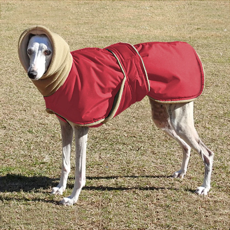 Waterproof Winter Dog Coat for Medium and Large Breeds