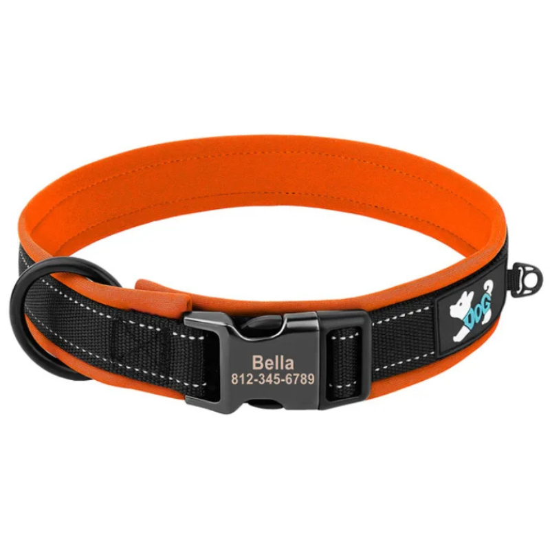 Built in Orange Durable Custom Engraved Dog Collar