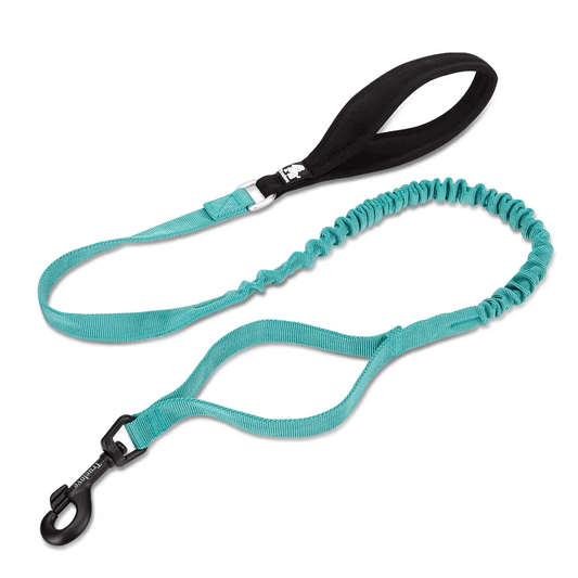 The Fur Pal x TrueLove: Flexible Elastic Dog Leash - The Fur Pal Dog quality premiumdogsupplies