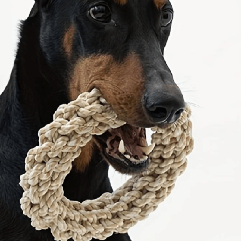 Durable ChewMaster Rope Ring Toy - Tough Chewing and Interactive Fun - The Fur Pal Dog quality premiumdogsupplies