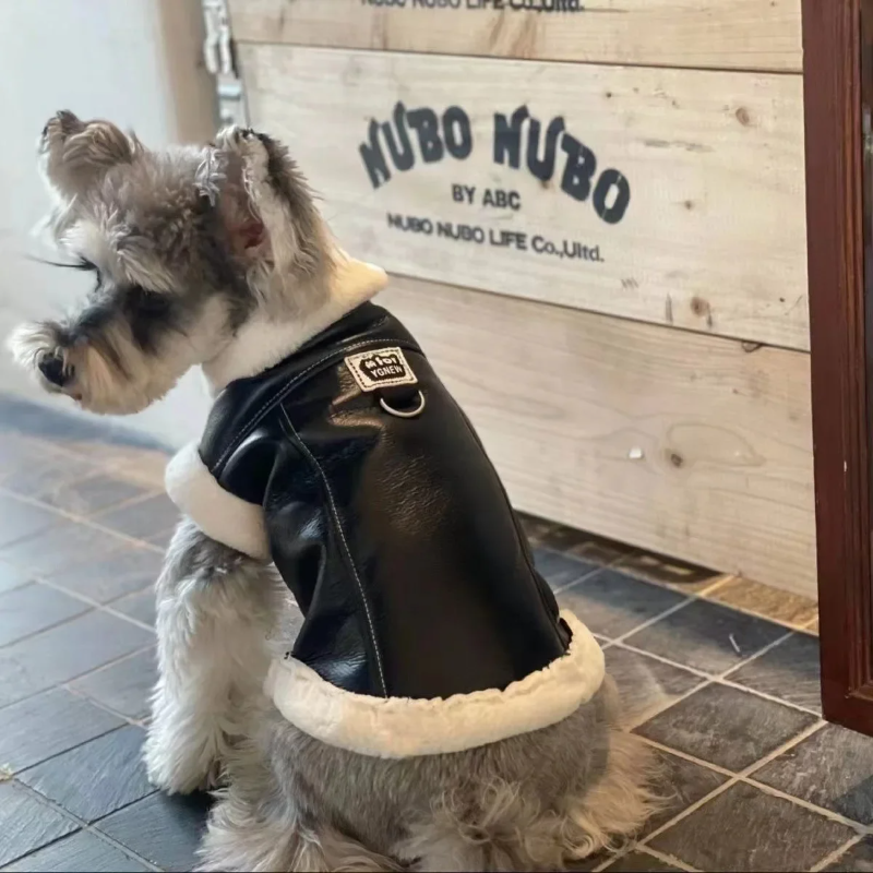 Cozy Winter Vest – Warm Jacket for Small Dogs