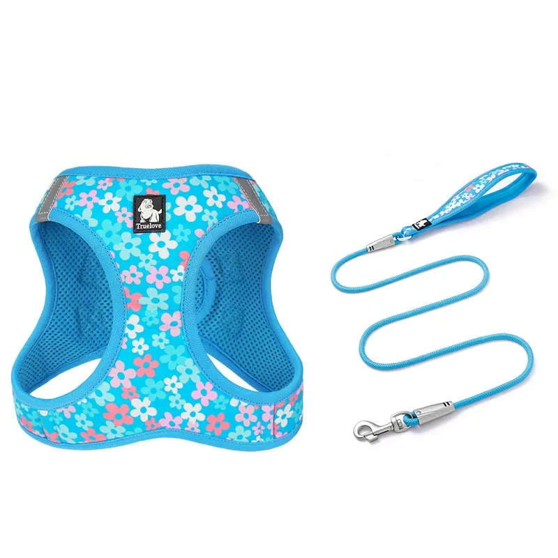 Harness & Leash Set