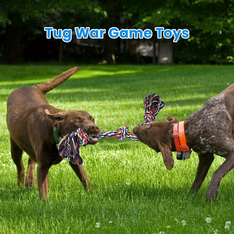 Indestructible Dog Knot Toy for Tug Of War - The Fur Pal Dog quality premiumdogsupplies
