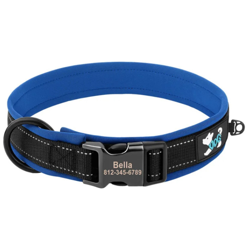 Built in Blue Durable Custom Engraved Dog Collar