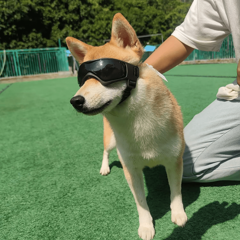 Red UV Protection Sunglasses for Dogs - Adjustable Goggles for Small & Medium Breeds - The Fur Pal Dog quality premiumdogsupplies