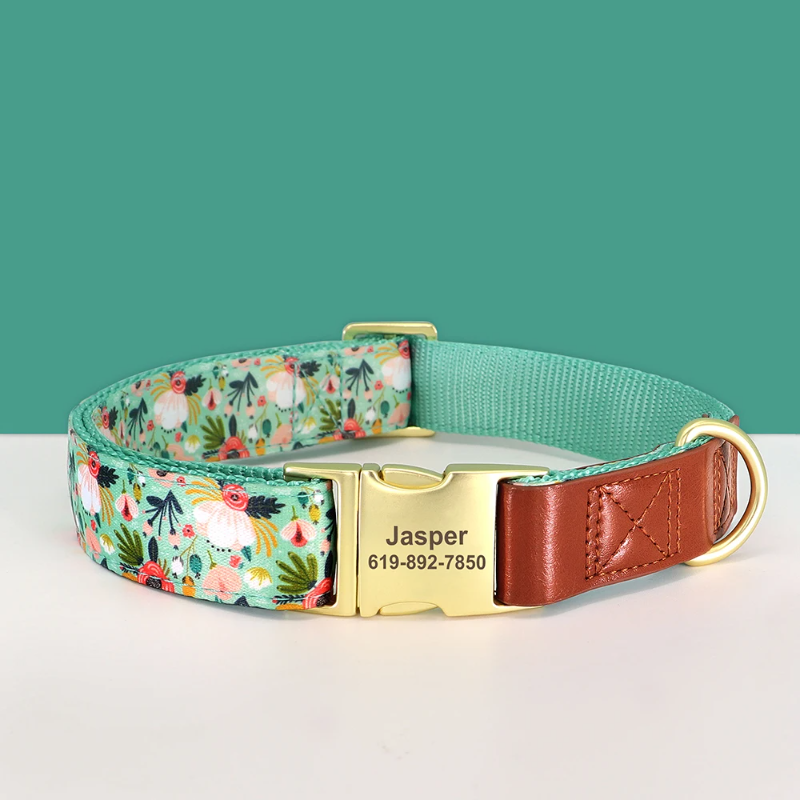 Dog collar with floral pattern, gold buckle, and engraved nameplate on a teal background