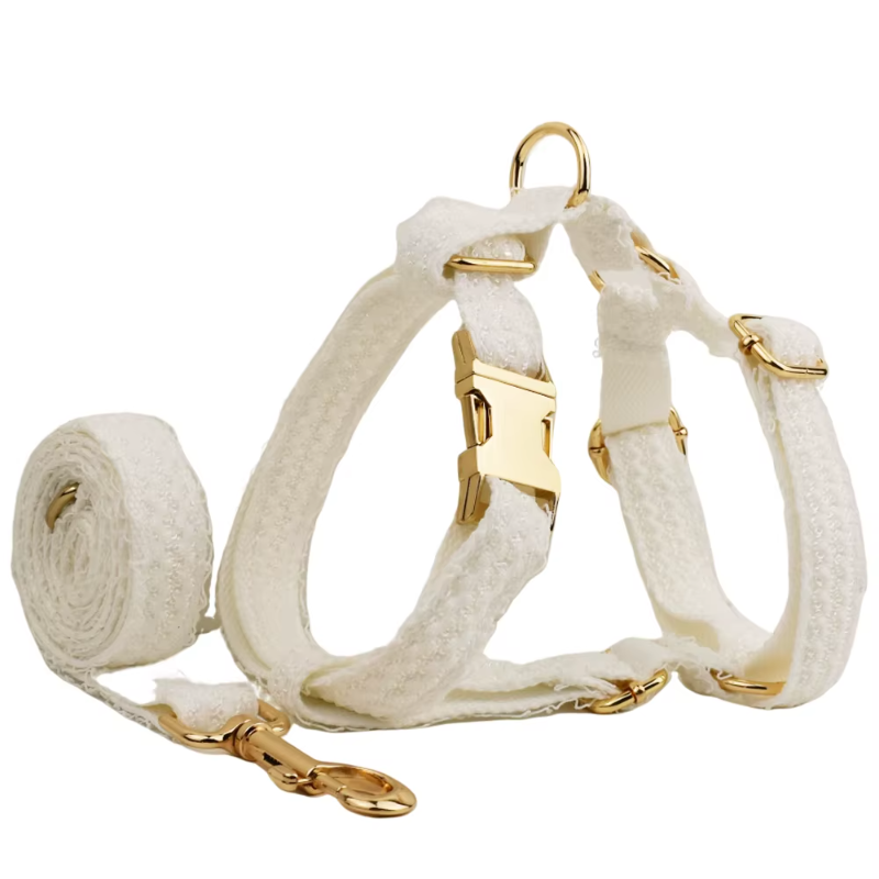 Coleira elegante de renda branca personalizada para cães com placa de identificação gravada personalizada