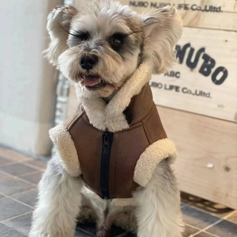 Cozy Winter Vest – Warm Jacket for Small Dogs