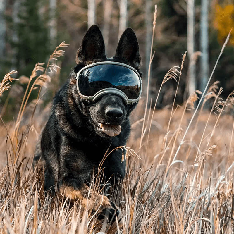 Green ATUBAN Dog Goggles - Anti - UV, Impact Resistant & Adjustable Sunglasses for Large Breeds - The Fur Pal Dog quality premiumdogsupplies