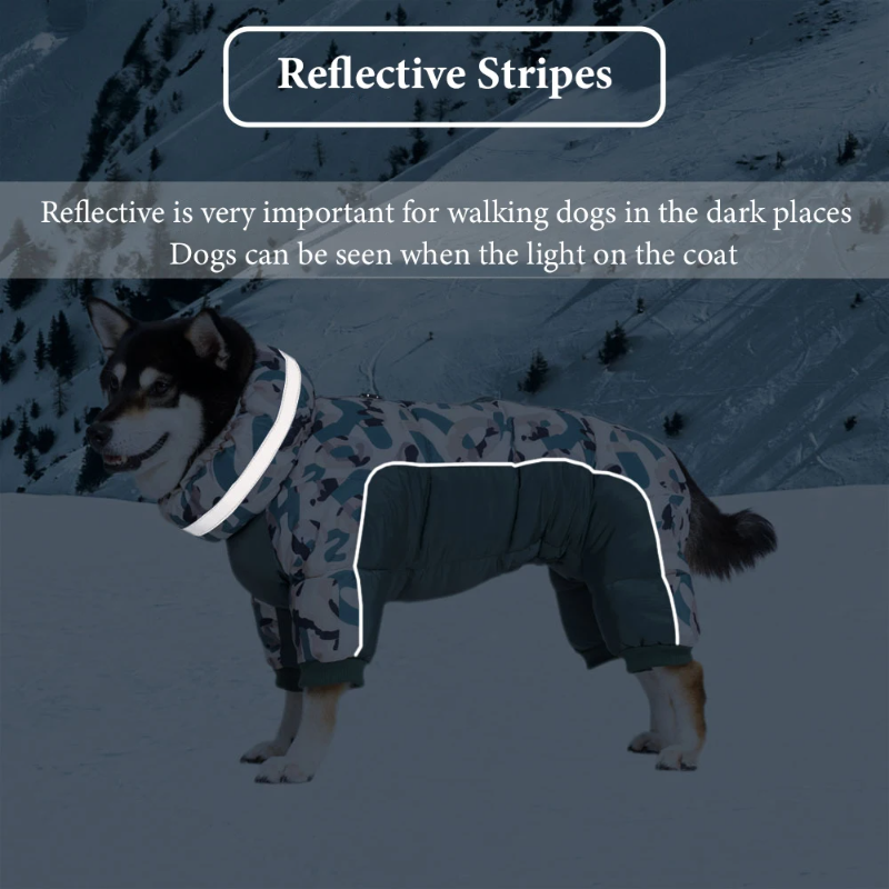 Waterproof Winter Dog Snowsuit with Full Belly Cover