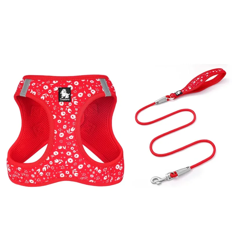 Harness & Leash Set