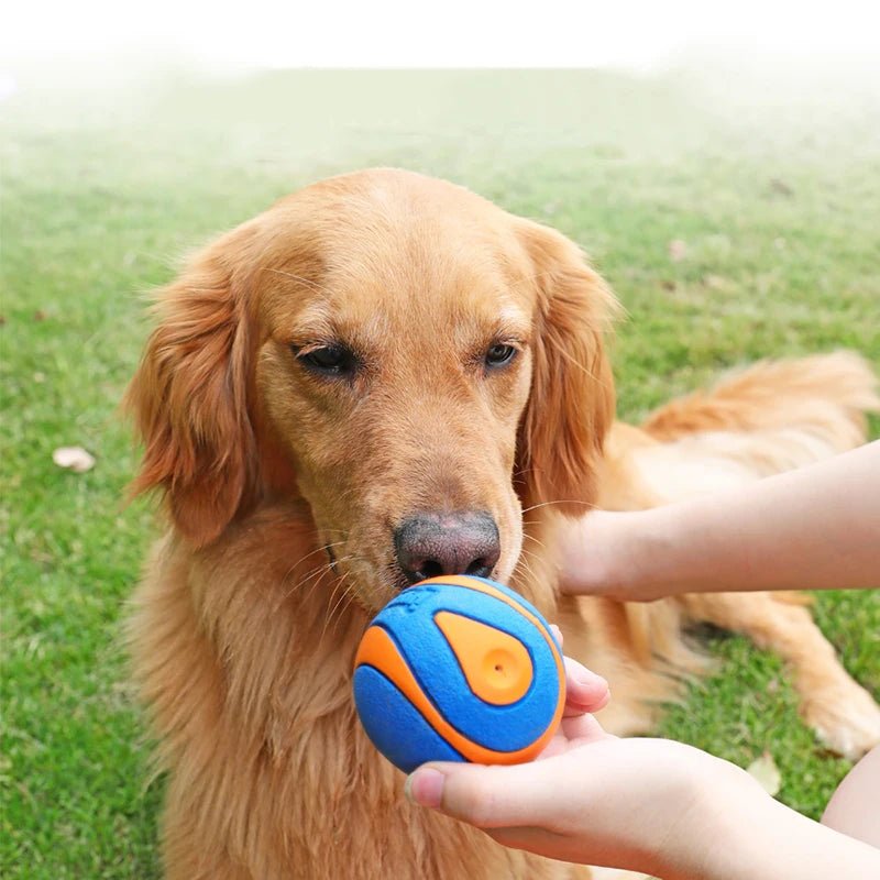 Non - toxic Outdoor Play Dog Ball - The Fur Pal Dog quality premiumdogsupplies