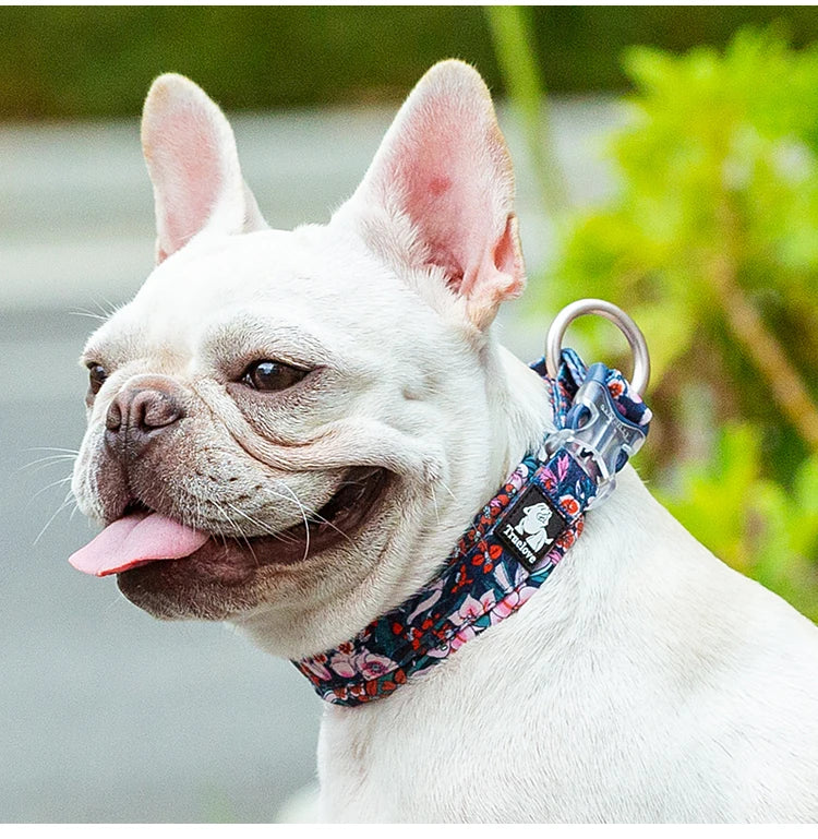 Truelove Comfort Collar β Camouflage Chic Edition