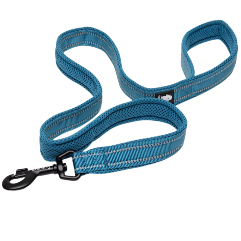 Blue dog leash with color options displayed on a white background, featuring the TrueLove brand.