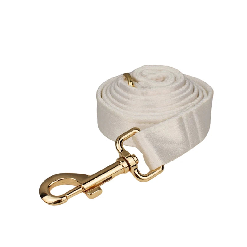 Conjunto de coleira, guia, peitoral e laço brancos personalizados chiques para cães