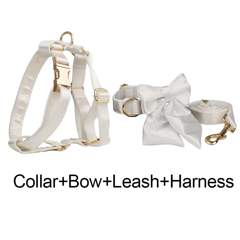 Conjunto de coleira, guia, peitoral e laço brancos personalizados chiques para cães