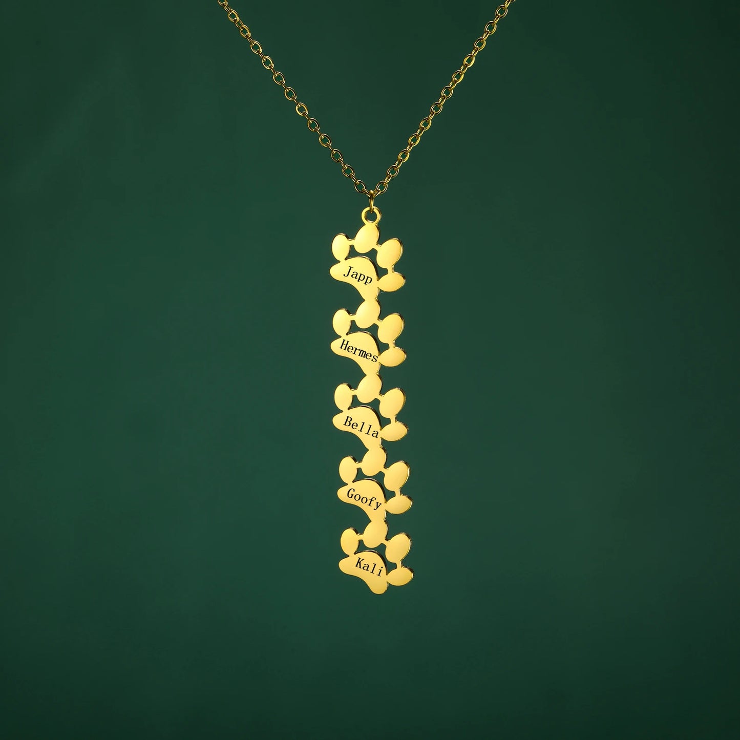 custom engraved necklace with dog paws to customize with your dog name 5 gold paws