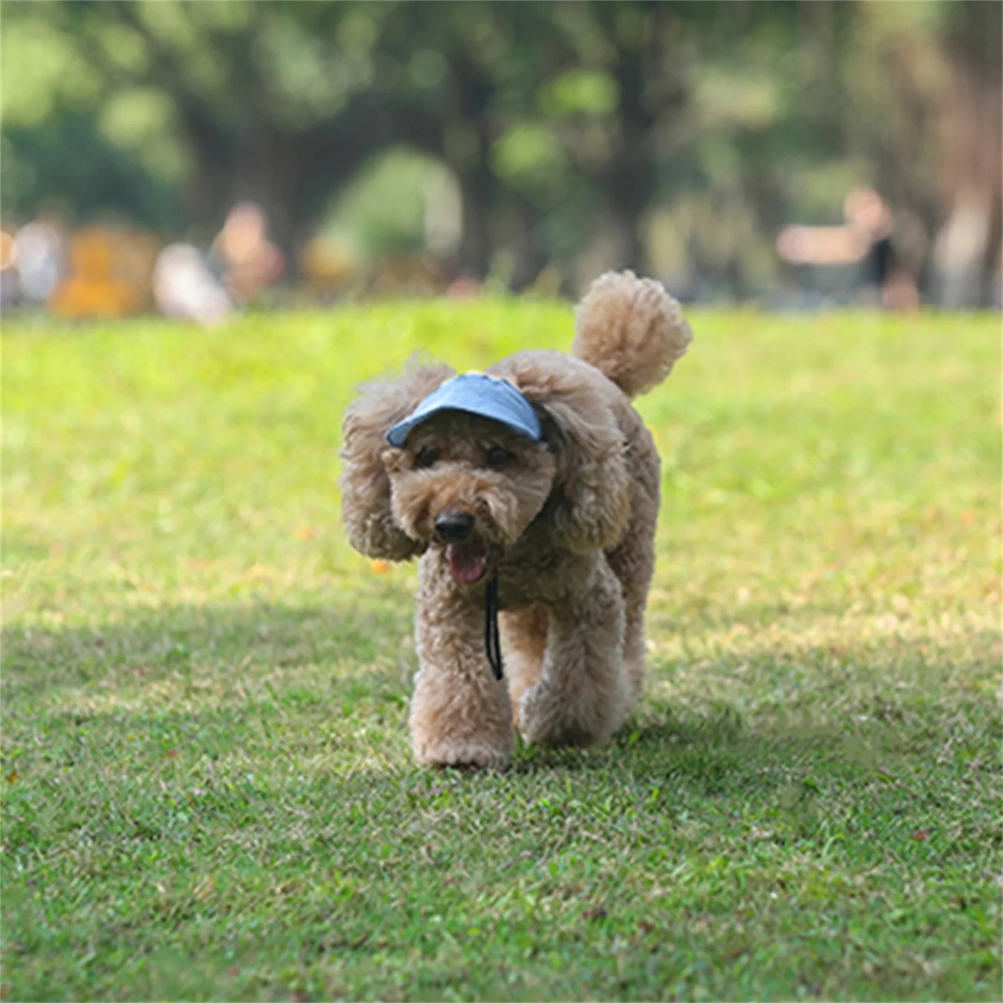 Boné de beisebol ajustável para cães PupPlay rosa – chapéu com viseira solar e furos para orelhas para aventuras ao ar livre