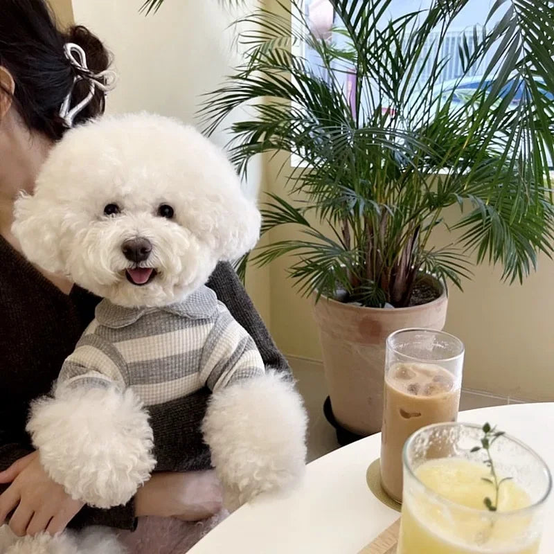 Camiseta Teddy Stripes – Camiseta fofa para animais de estimação com detalhe de urso de pelúcia