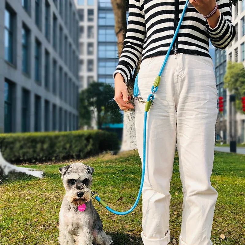 Reflective Nylon Dog Leash for Running and Walking