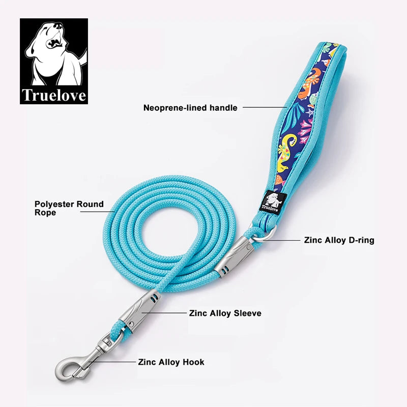 Firecracker Harness & Leash Set