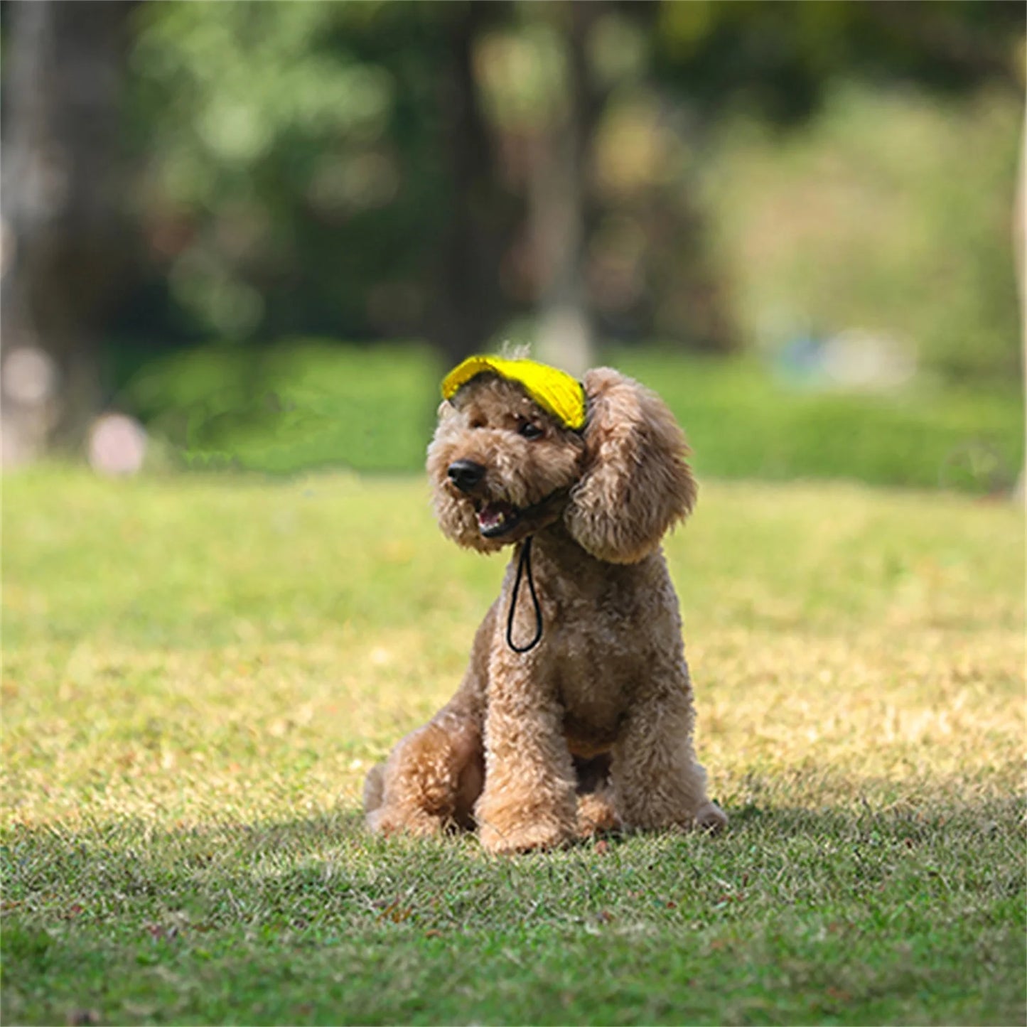 Boné de beisebol ajustável para cães PupPlay rosa – chapéu com viseira solar e furos para orelhas para aventuras ao ar livre