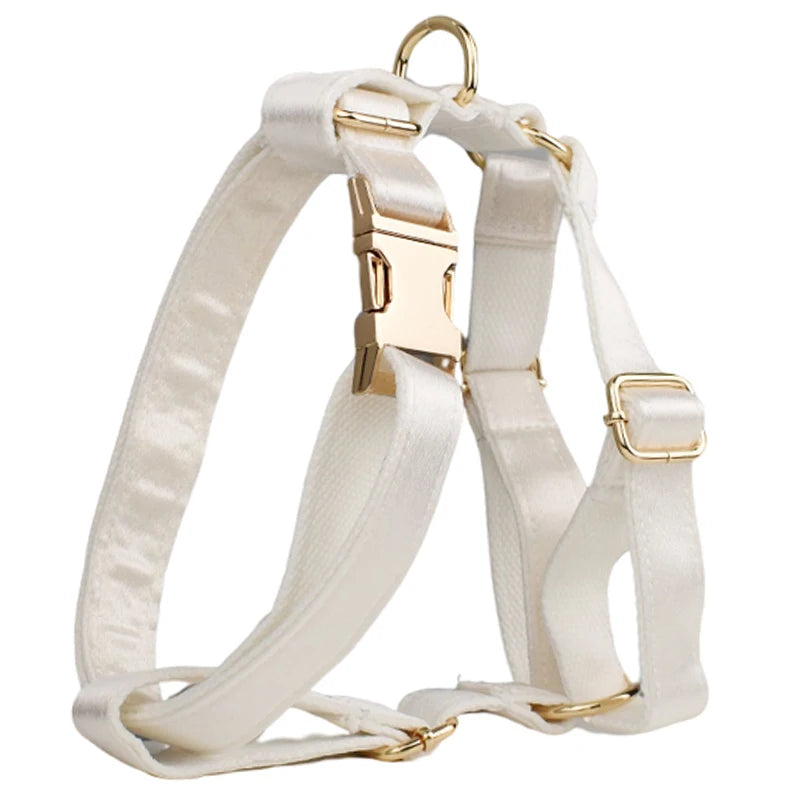 Conjunto de coleira, guia, peitoral e laço brancos personalizados chiques para cães