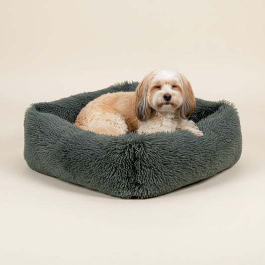 Cinza escuro: Retângulo