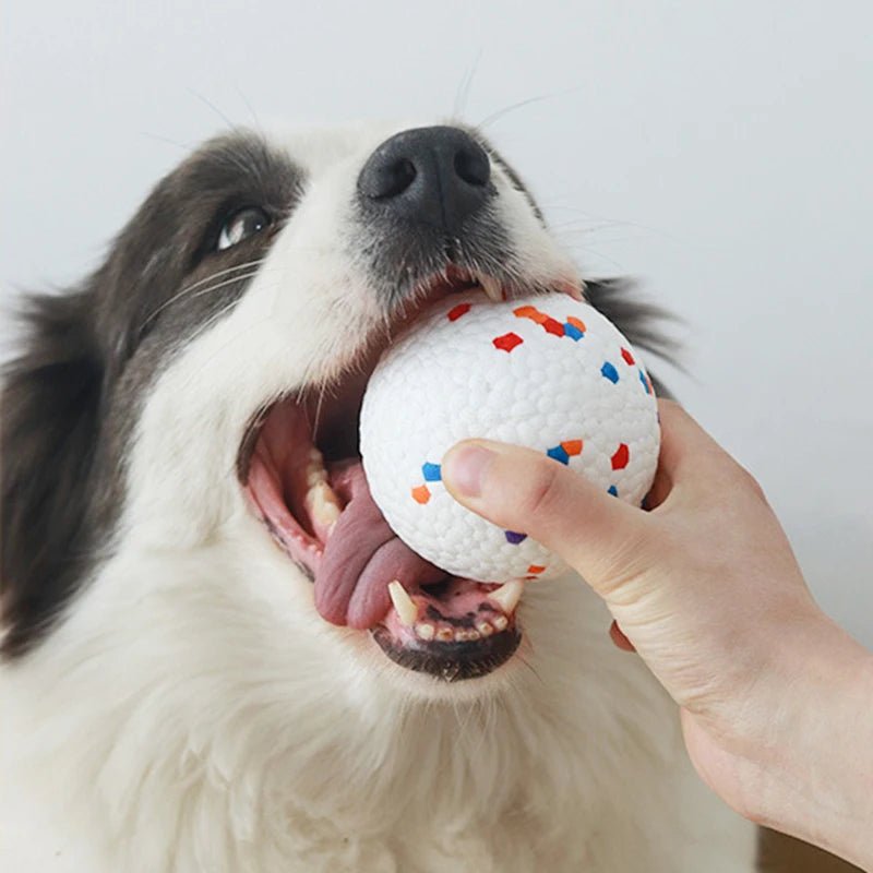 Bite Resistant Solid Dog Ball Toy - High Elasticity E - TPU Chew Ball - The Fur Pal Dog quality premiumdogsupplies