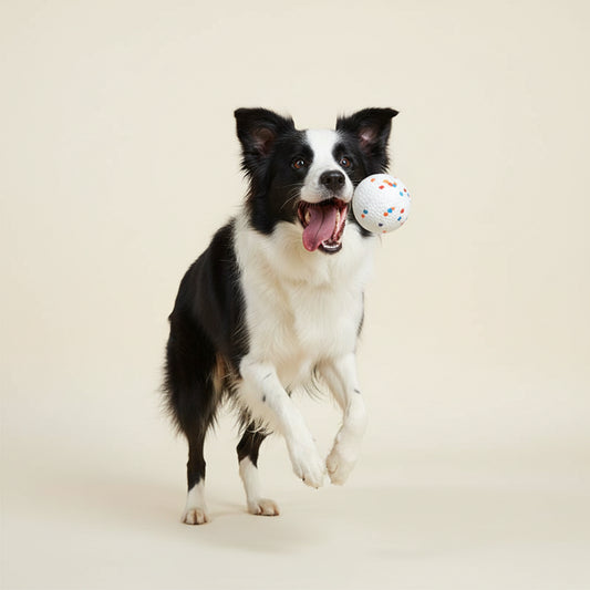 Bite Resistant Solid Dog Ball Toy - High Elasticity E - TPU Chew Ball - The Fur Pal Dog quality premiumdogsupplies