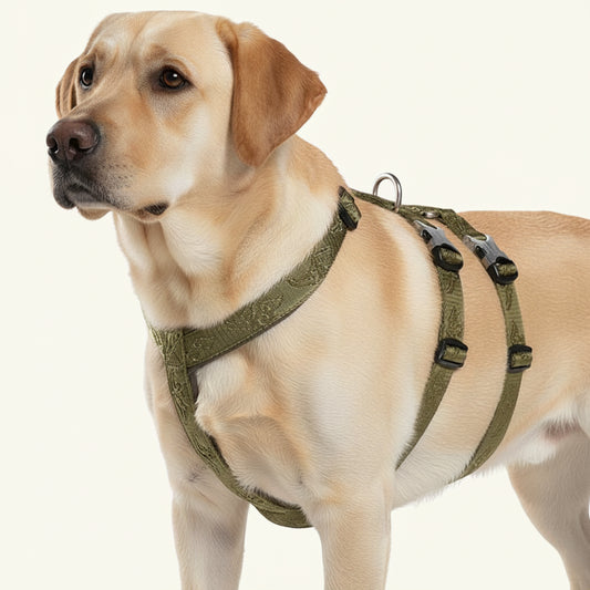 Army Green Reflective